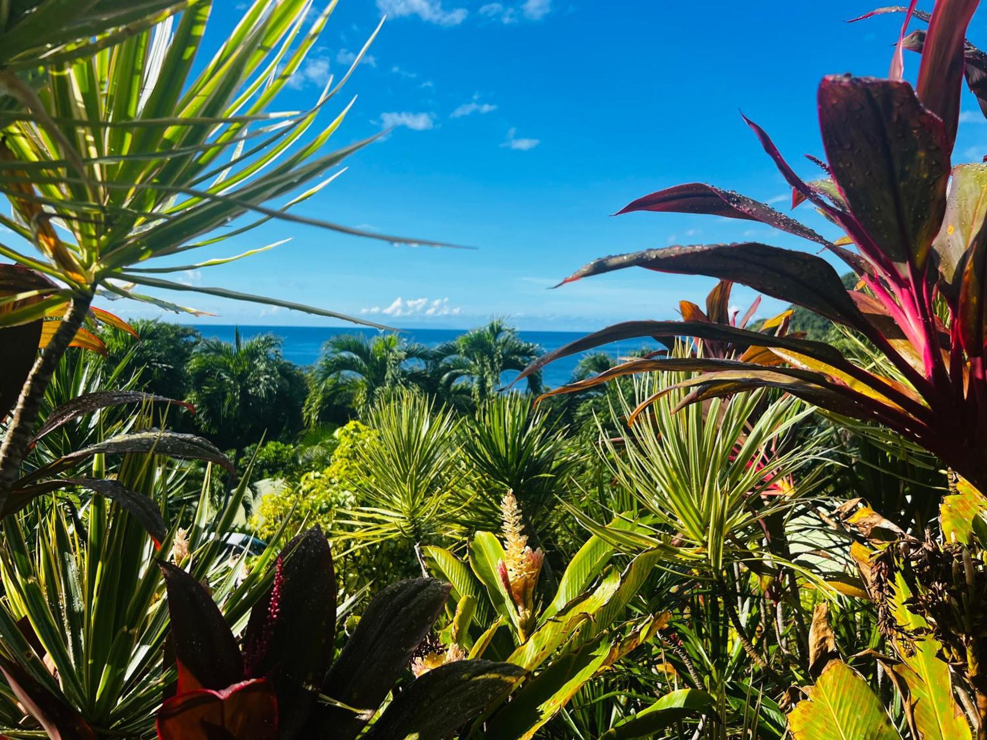 Vue Mer/3Beds/Piscine/Wifi/900 Metres De La Plage เดเอ ภายนอก รูปภาพ